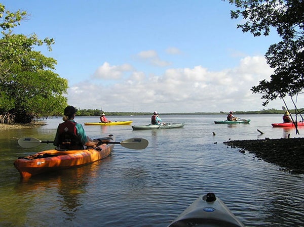 Kayak Guided Tour 1